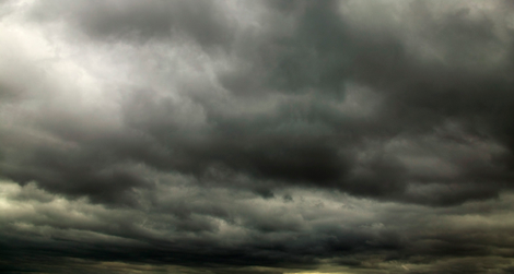 "The dark tempest forms in the North / But what of Andrew?" a statement from the nation's poets read in part.
